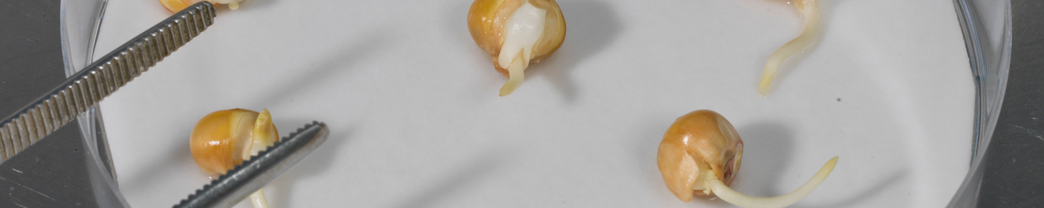 banner_scienceexperiment