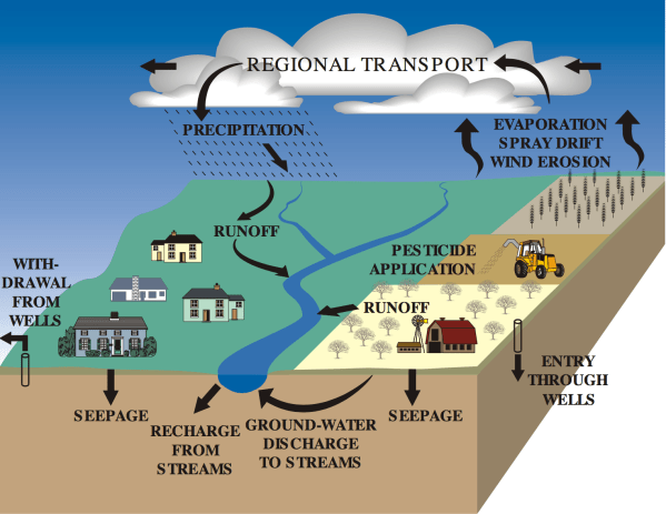 Screen Shot 2020-05-11 at 11.42.59